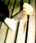 200508232824e2a3.jpg